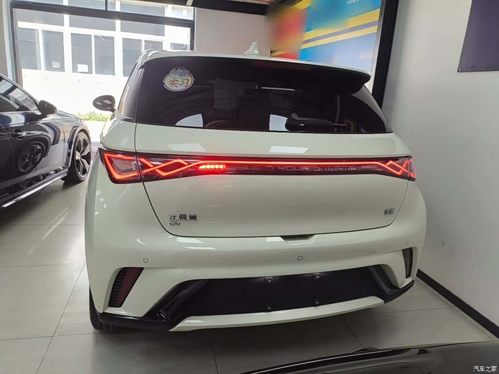 BYD Dolphin, 2024 6