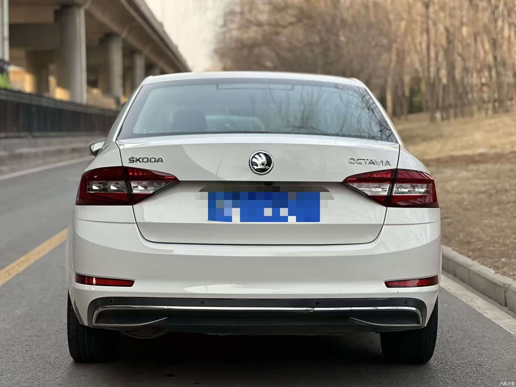 Skoda Octavia, 2018 все фото