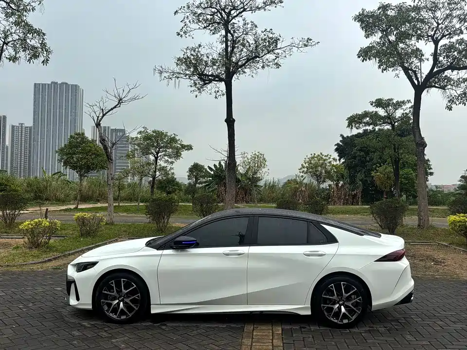 Trumpchi Shadow Leopard Trumpchi Shadow Leopard