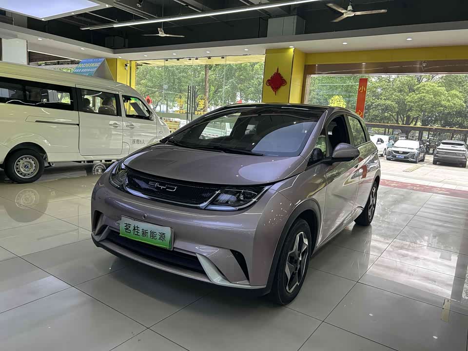 BYD dolphin