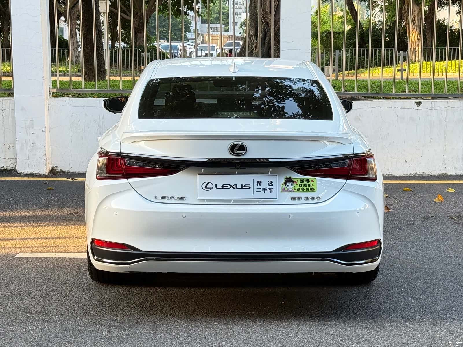 Lexus ES, 2019 все фото