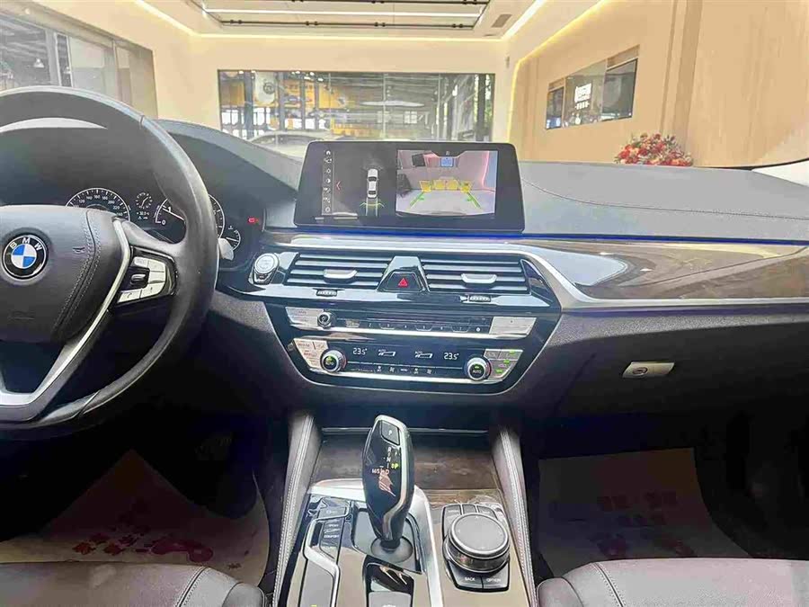 BMW 5 Series 2019, фото 15