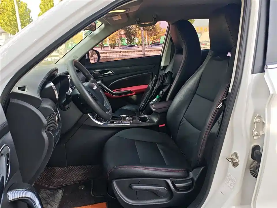 Leopaard Cheetah CS9