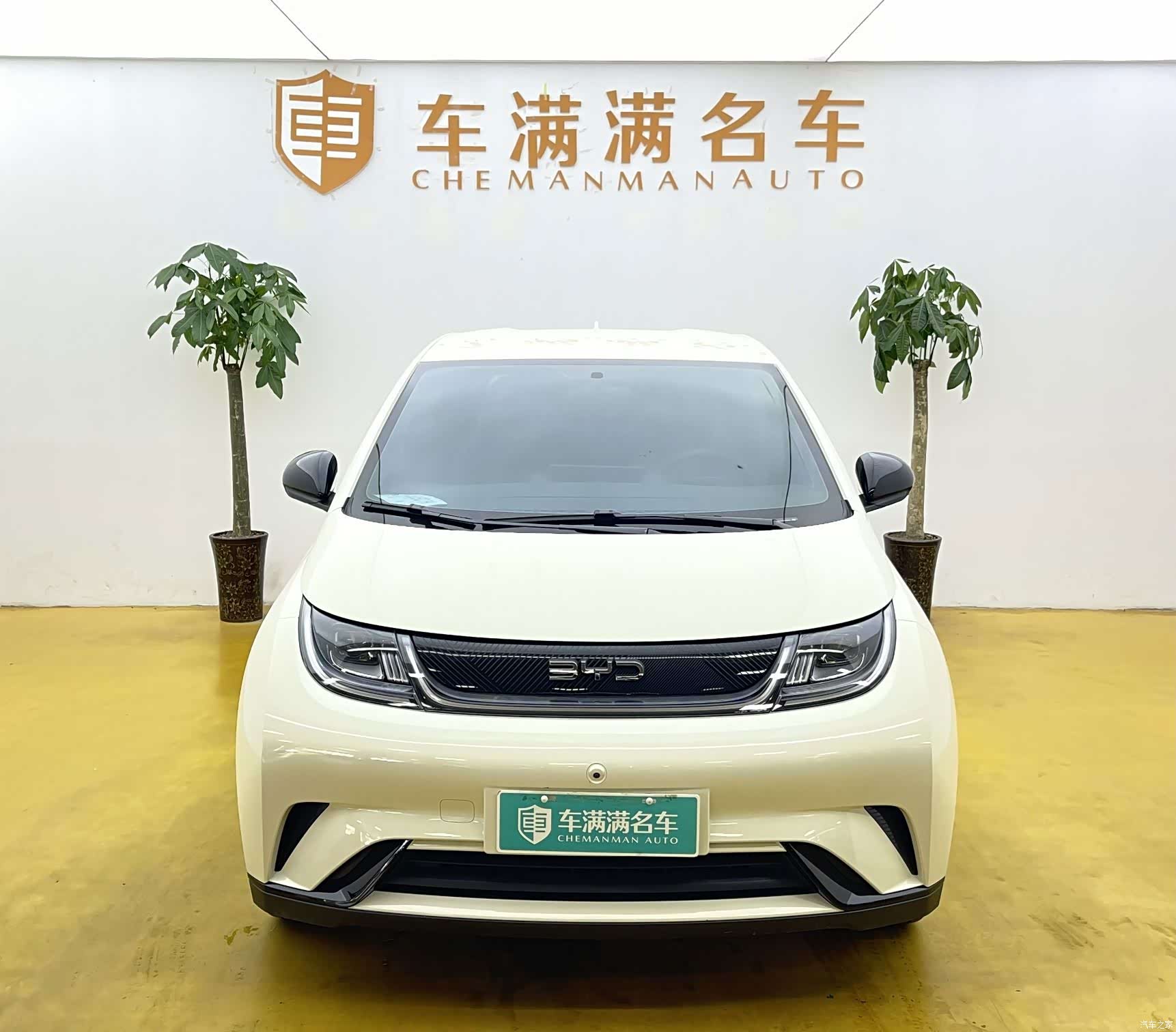 BYD Dolphin, 2026 2