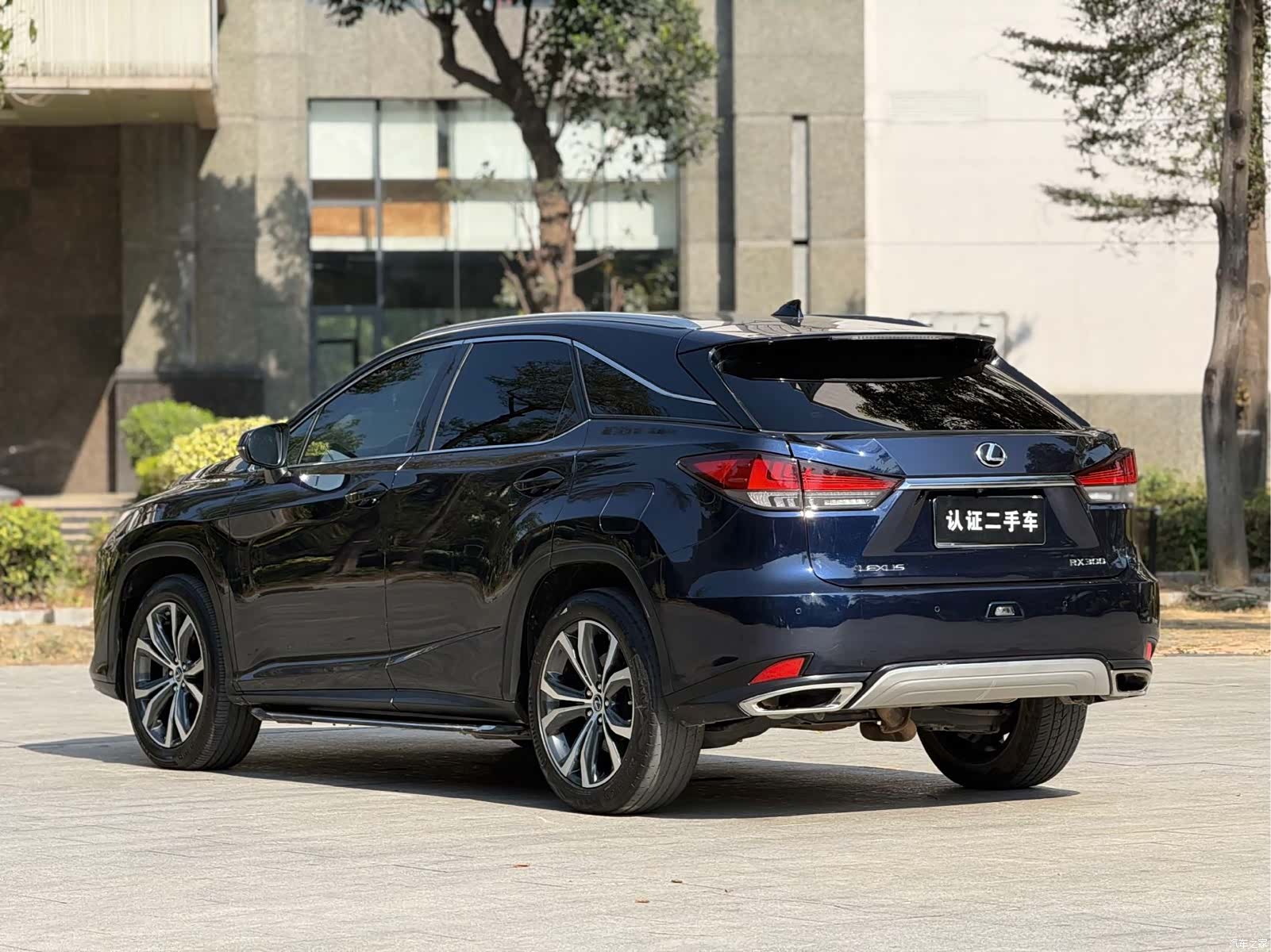 Lexus RX, 2020 19