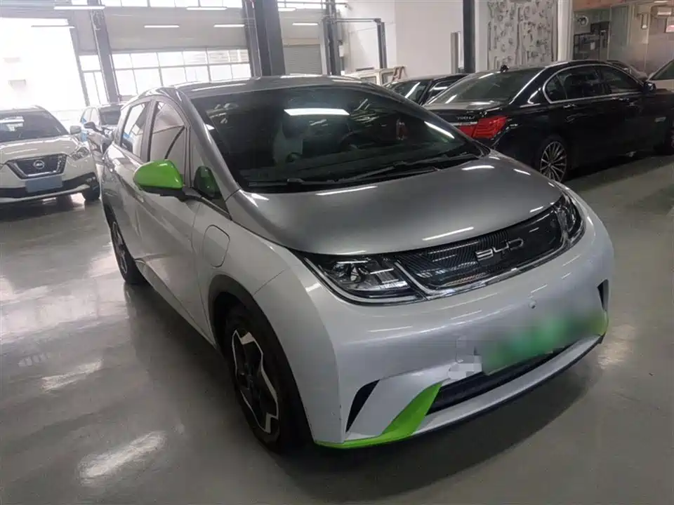 BYD dolphin