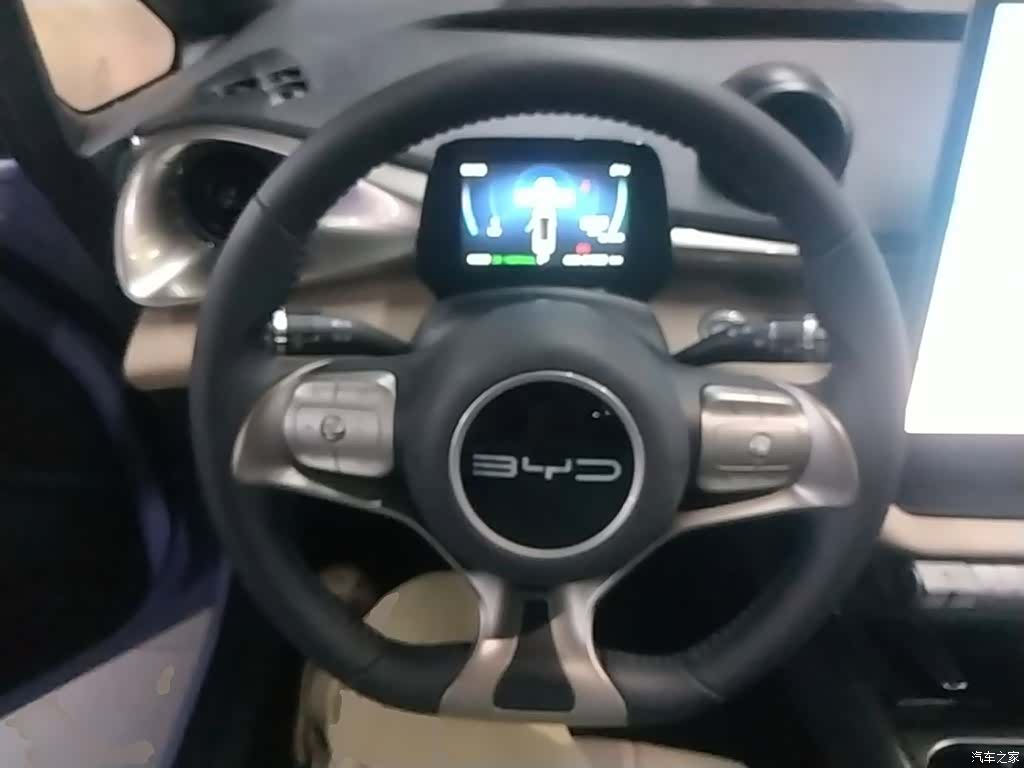 BYD Dolphin, 2024 11
