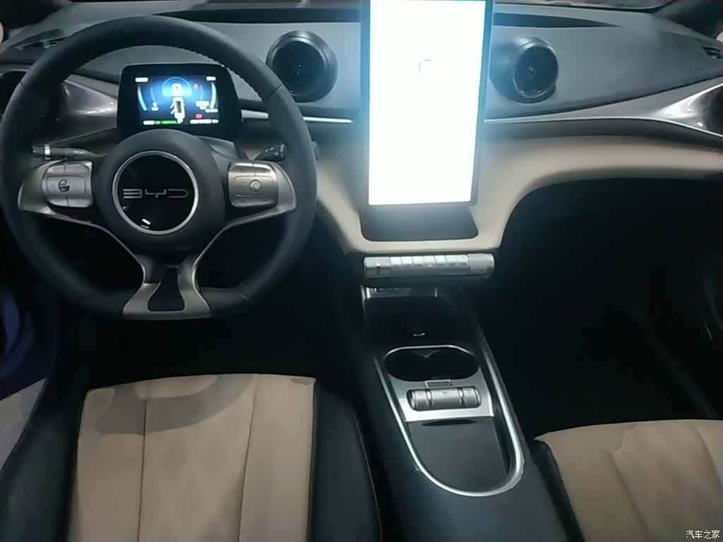 BYD Dolphin, 2024 10