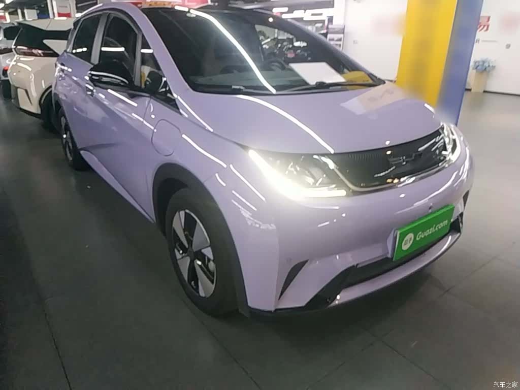 BYD Dolphin, 2023 4