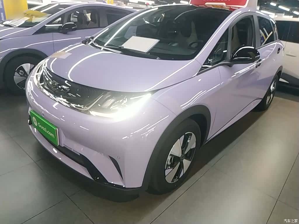 BYD Dolphin, 2023 1