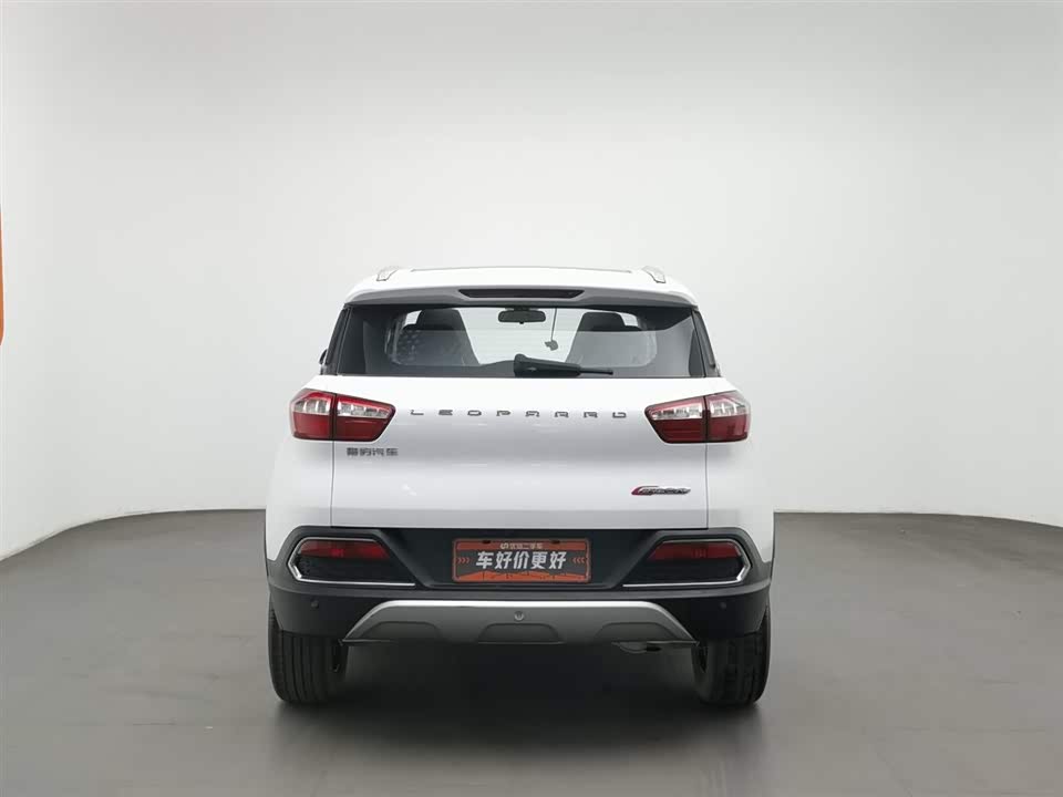 Leopaard Cheetah CS9