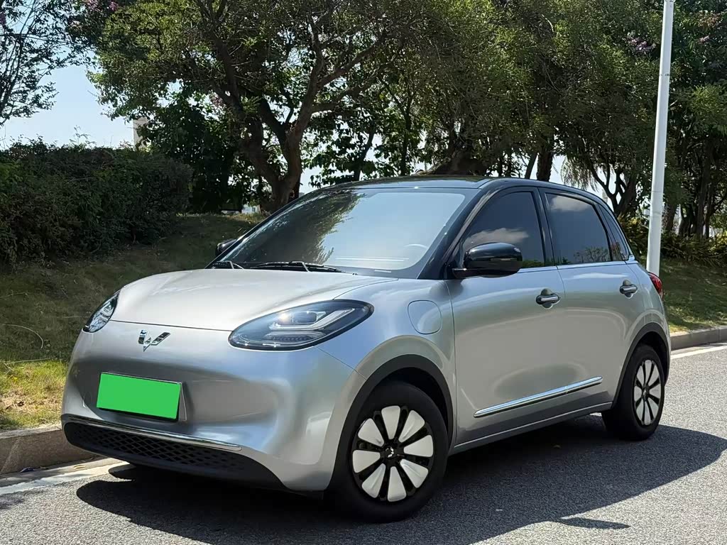 Wuling Binguo
