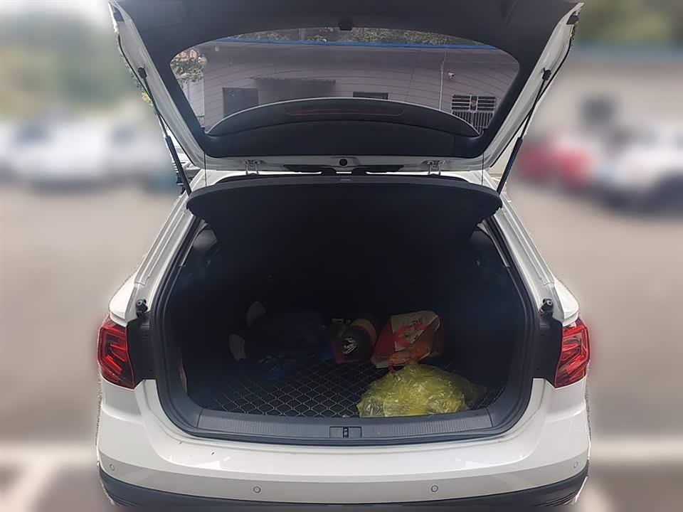 Volkswagen C-TREK Wei Collar