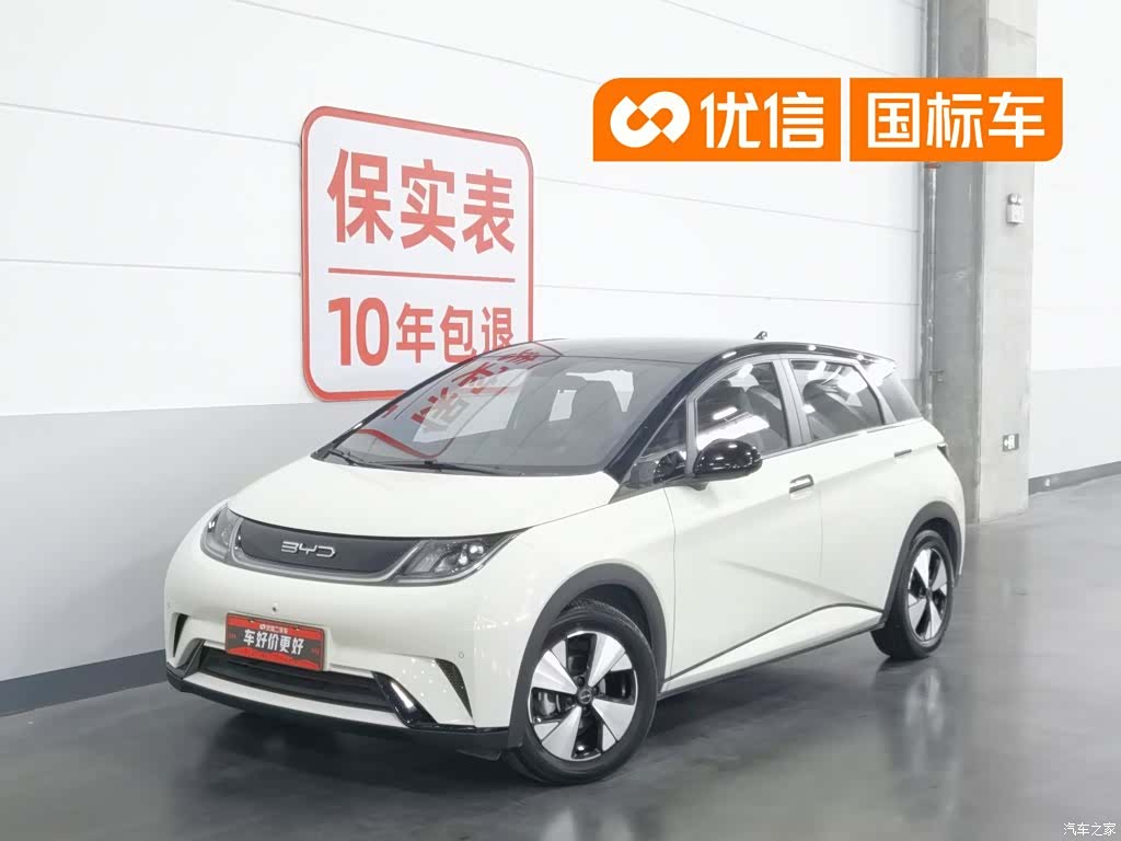 BYD Dolphin, 2023 1