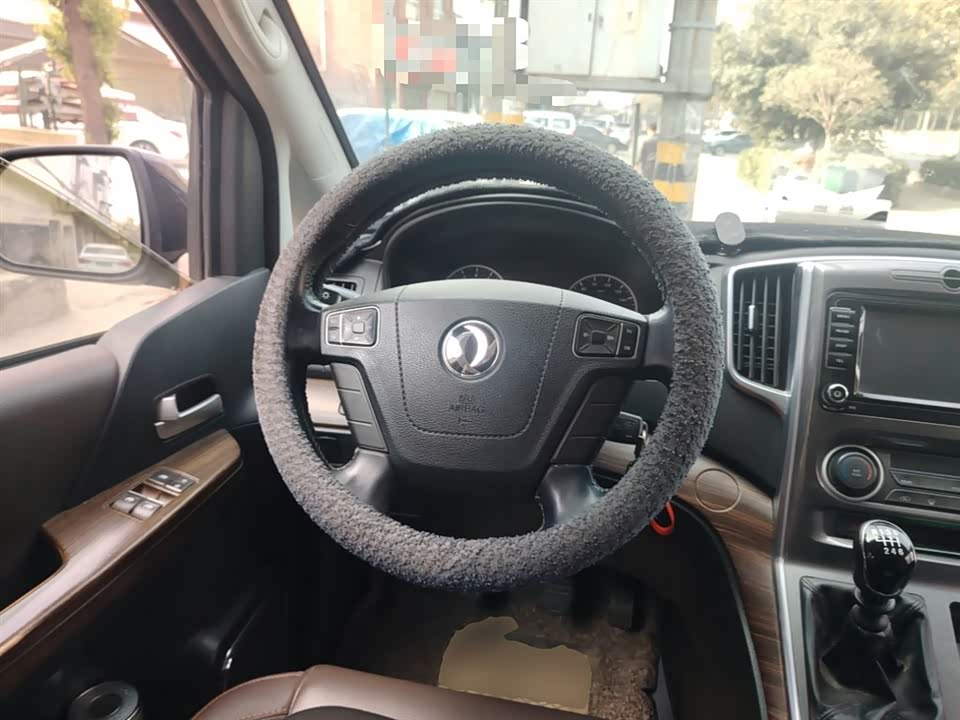 Forthing Lingzhi PLUS