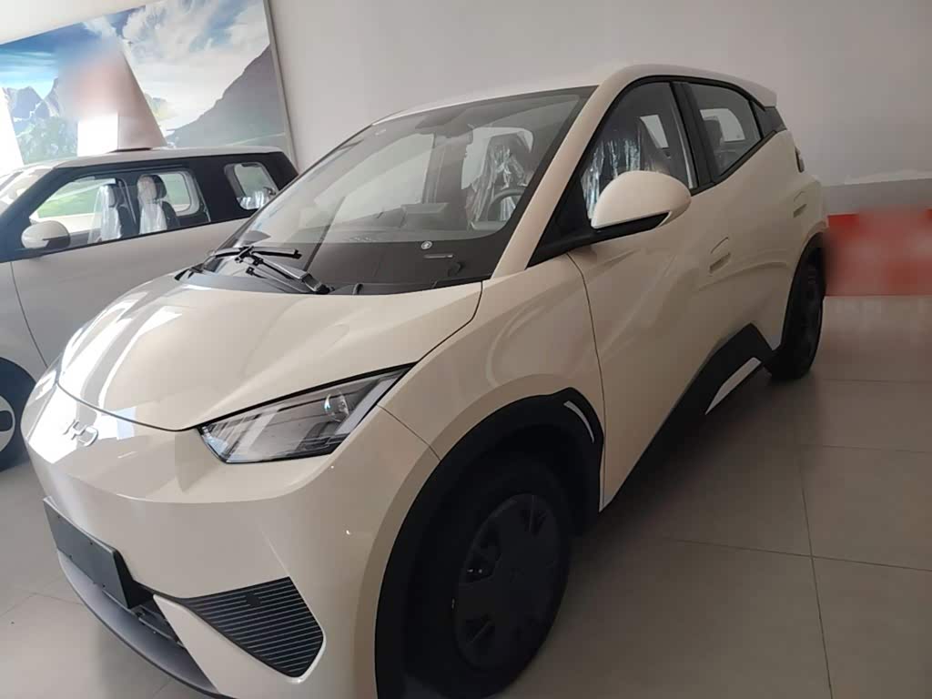 BYD Seagull