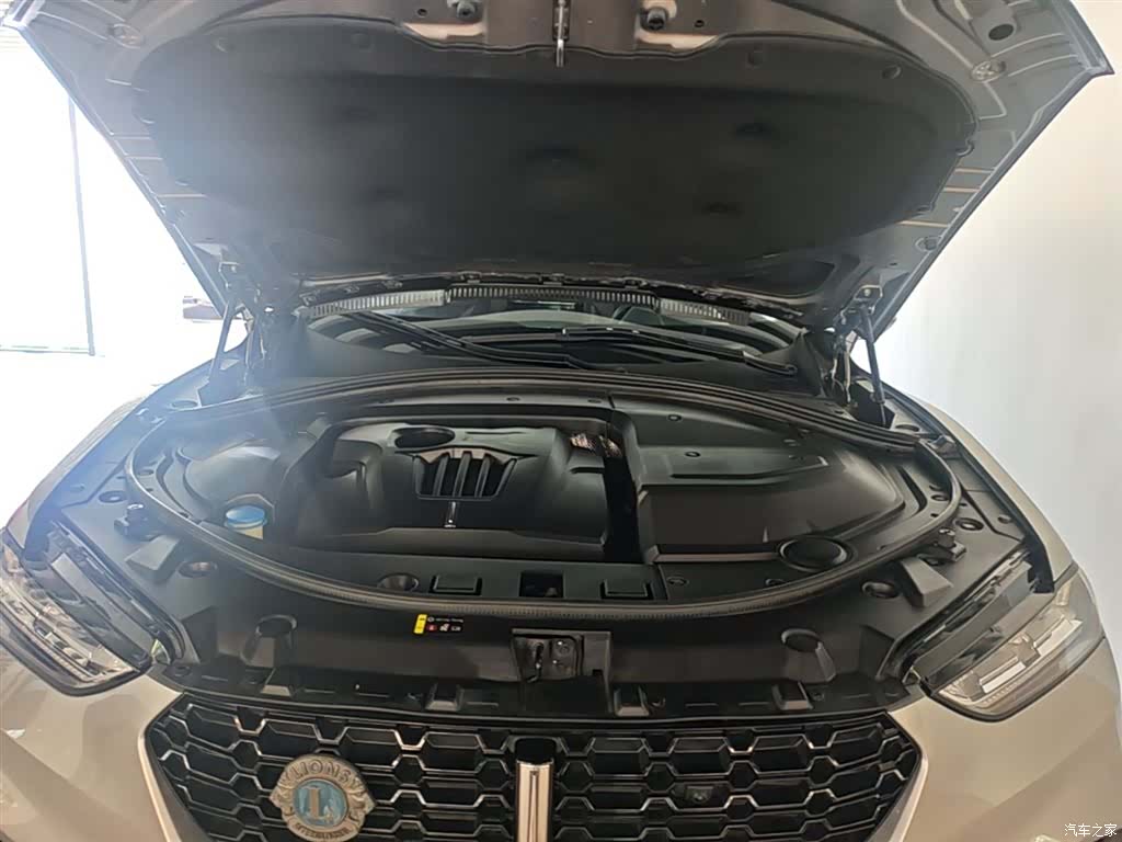 WEY VV7, 2018 20