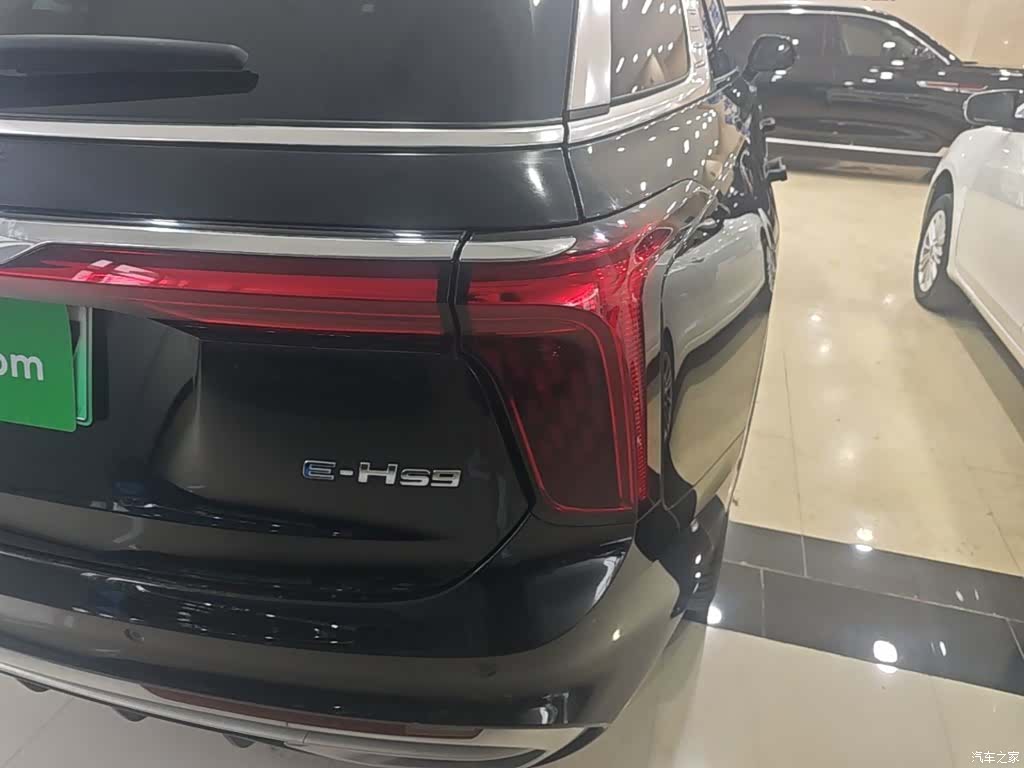 Hongqi E-HS9, 2023 8