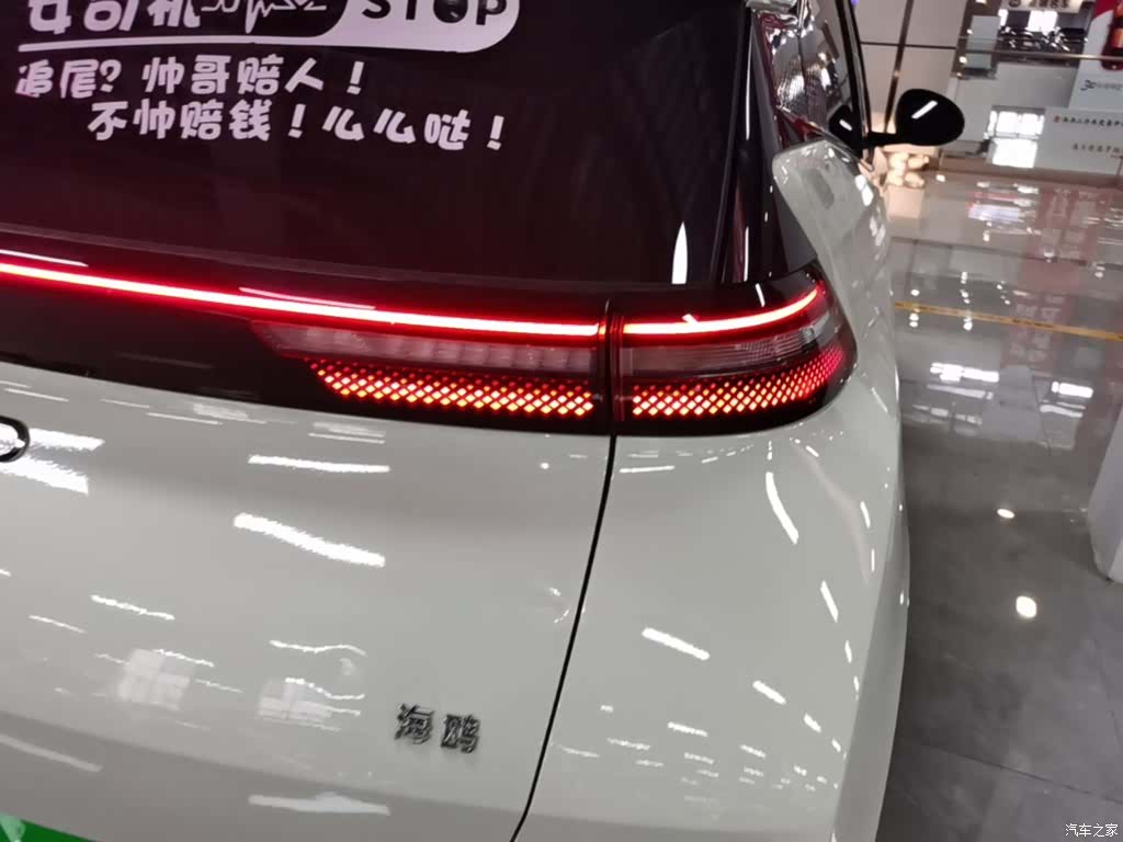 BYD Seagull, 2025 8