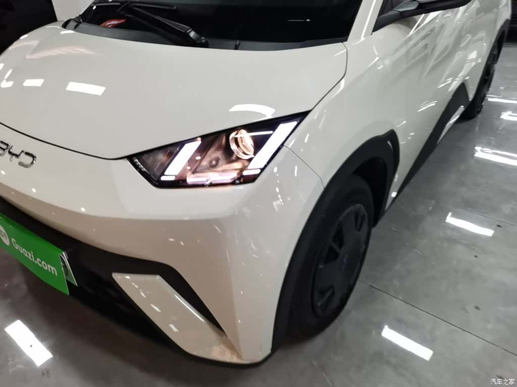 BYD Seagull, 2025 24