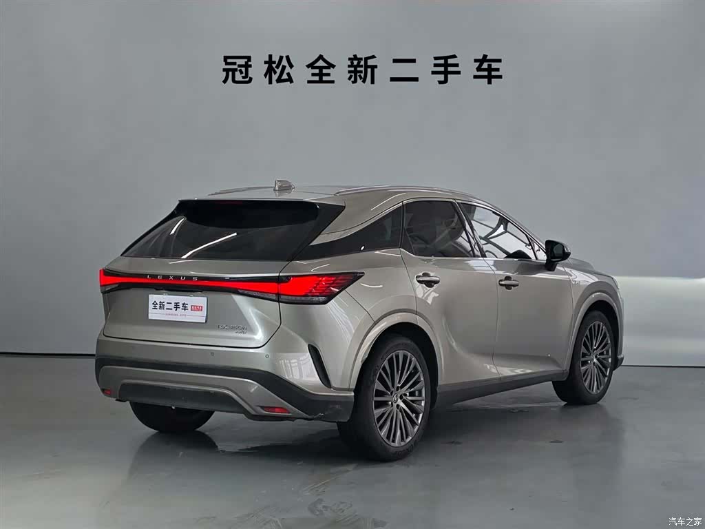 Lexus RX, 2023 4
