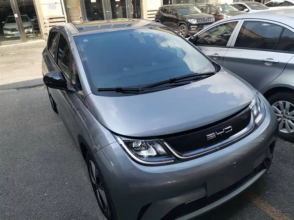 BYD dolphin