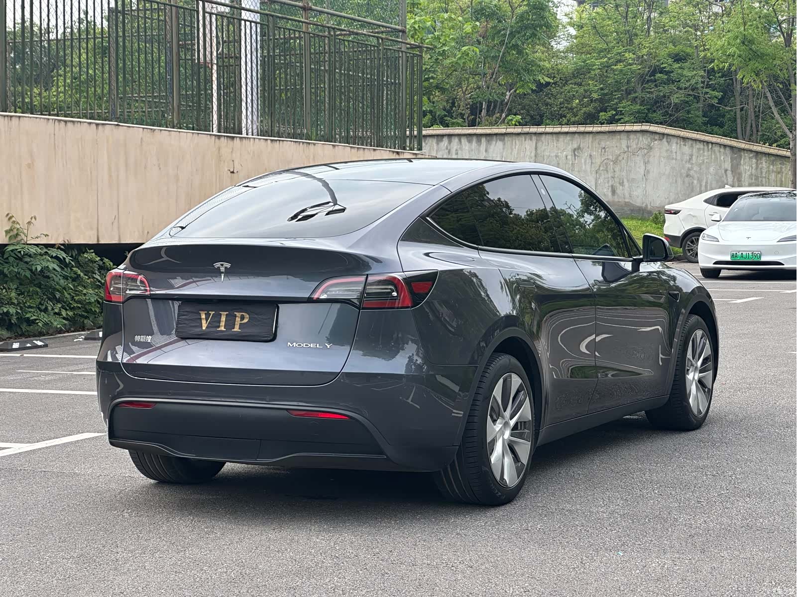 Tesla Model Y, 2023 все фото