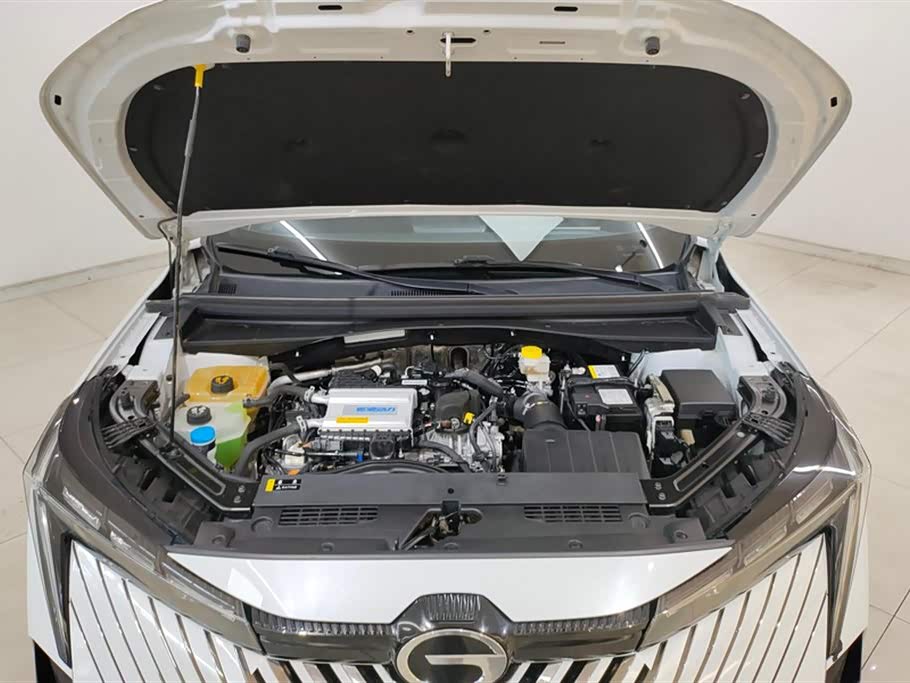 Trumpchi Shadow cool