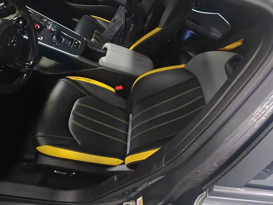 Trumpchi Shadow Leopard