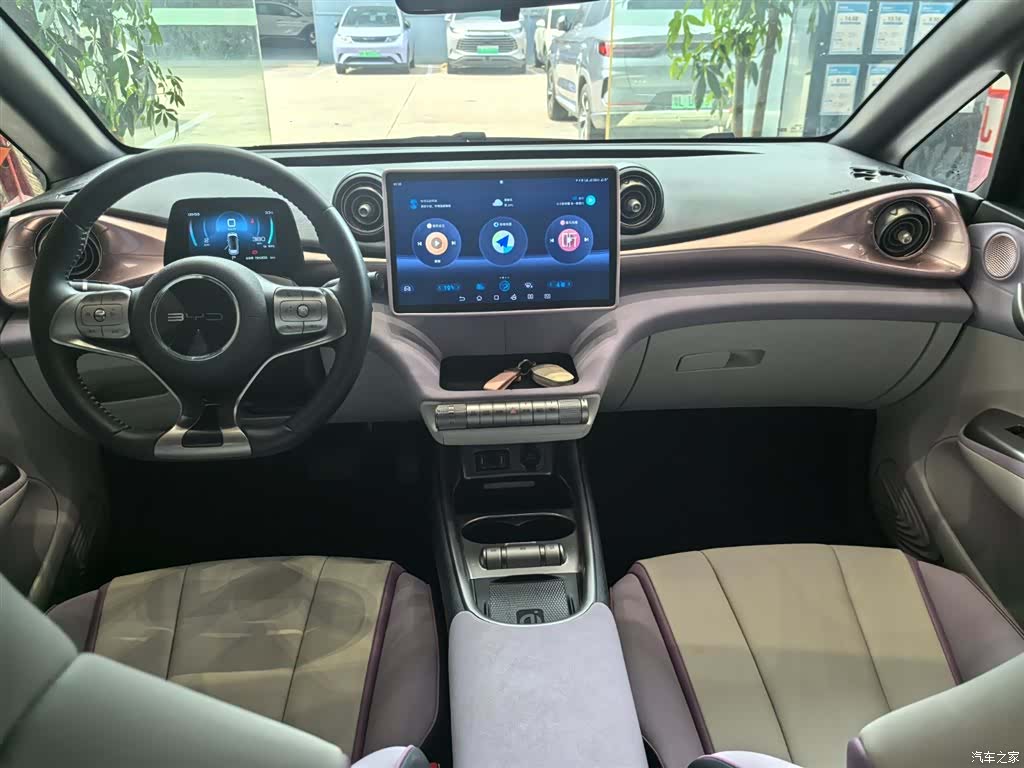 BYD Dolphin, 2022 7