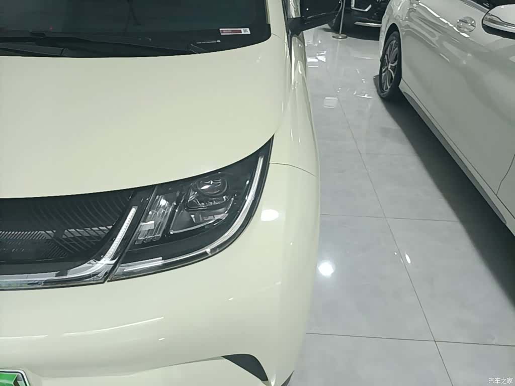 BYD Dolphin, 2022 24