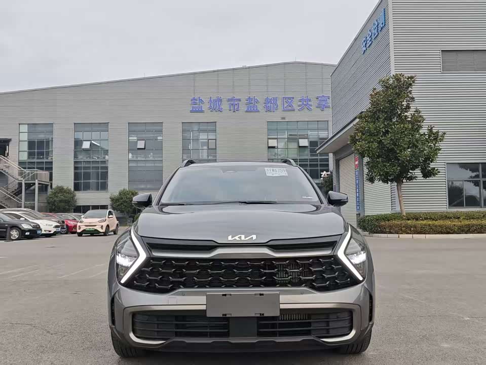 Kia Lion Platinum expands the world