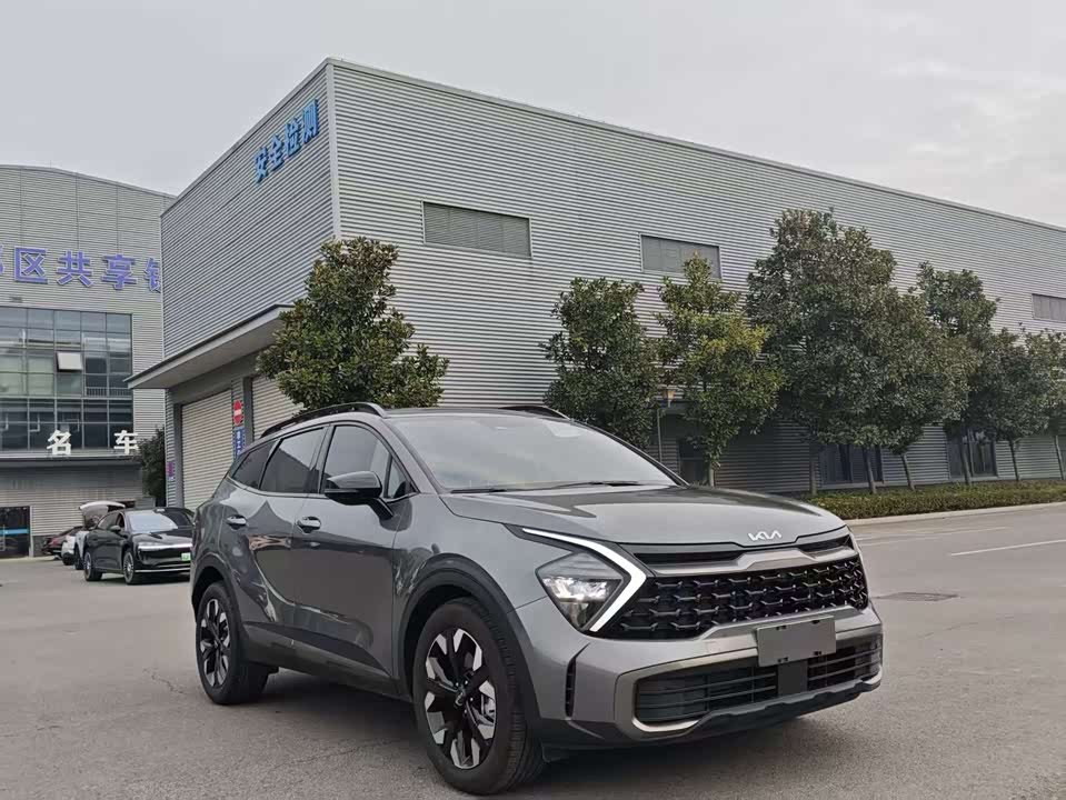 Kia Lion Platinum expands the world