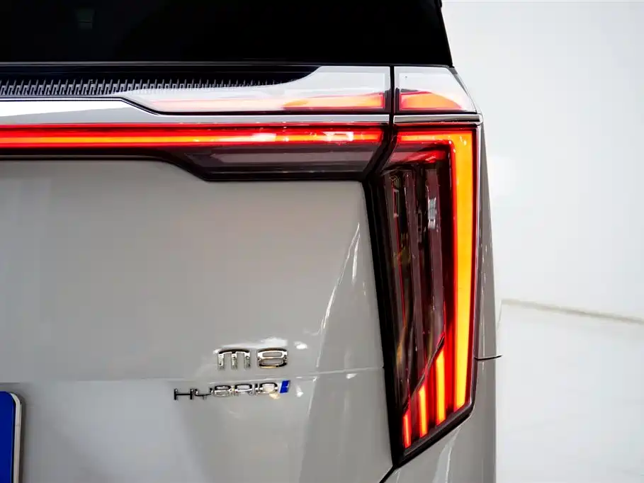 Trumpchi Trumpchi M8