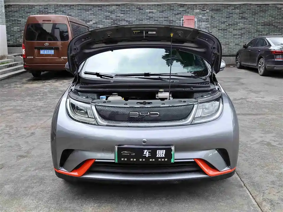 BYD dolphin