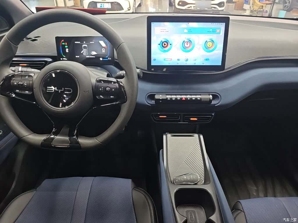 BYD Seagull, 2024 10