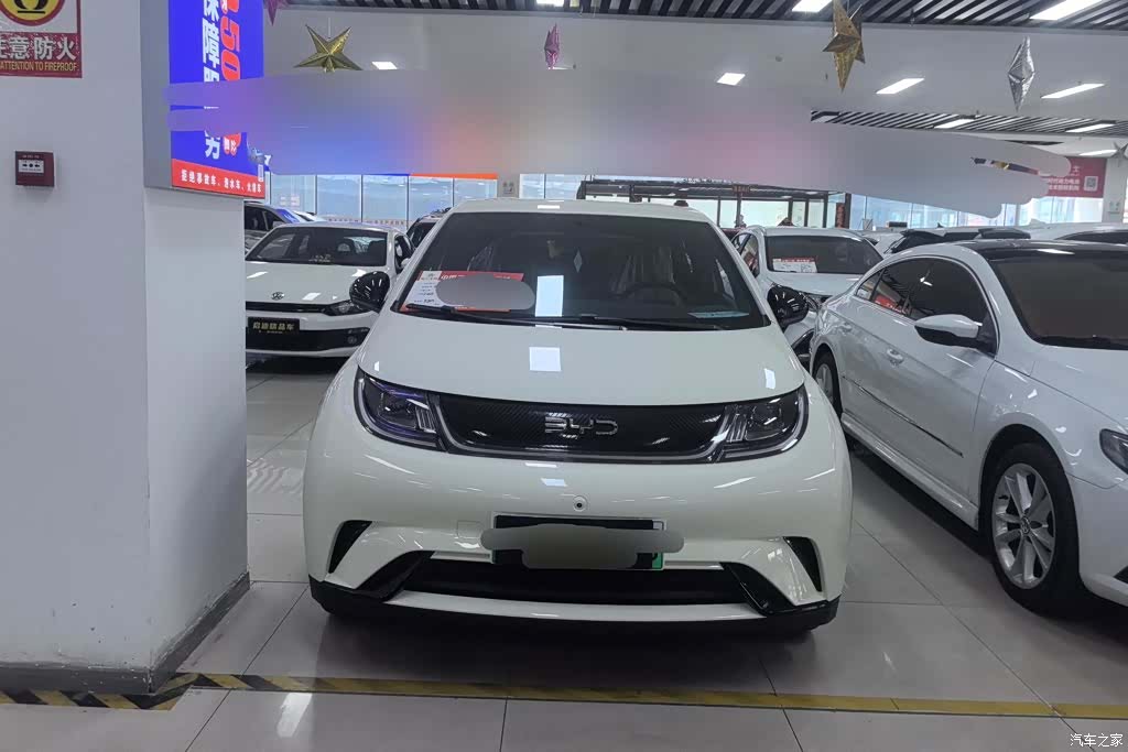 BYD Dolphin, 2026 2