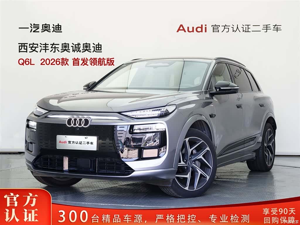 Audi e-tron, 2025 1