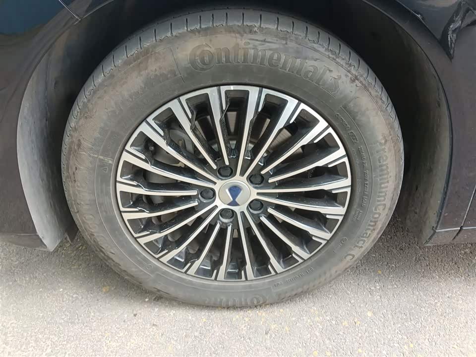 Denza D9 Denza D9