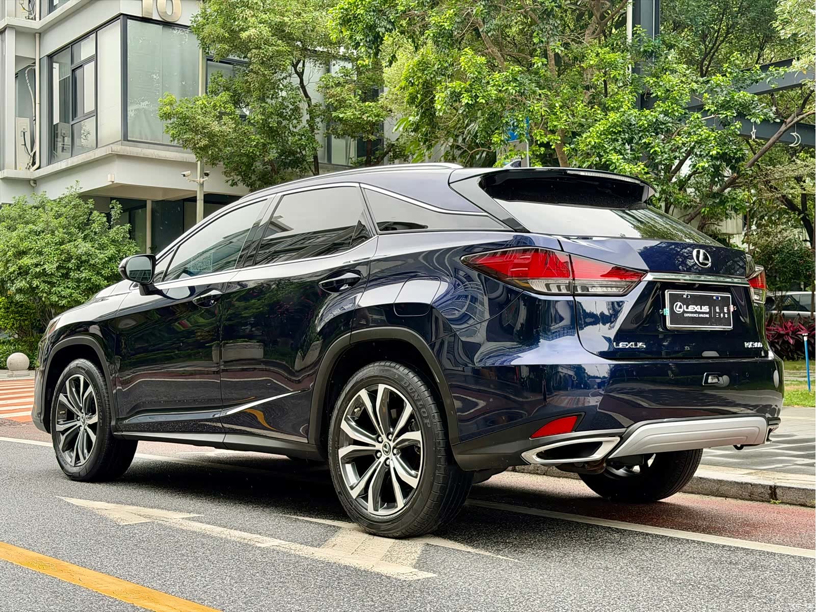 Lexus RX, 2022 18