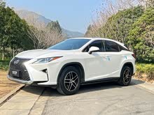 �׿���˹RX 2020�� 300 ������Ӣ�� ��VI