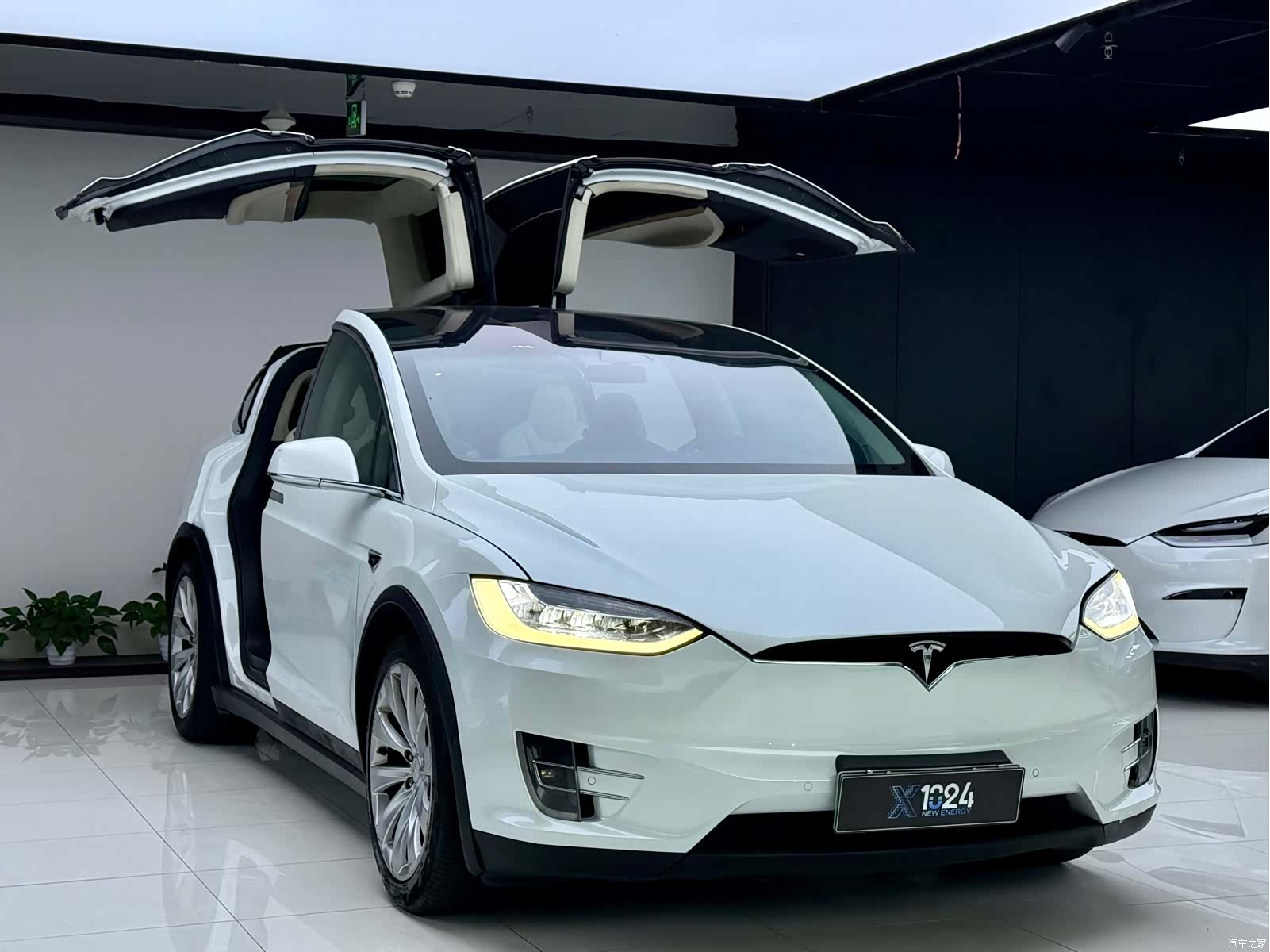 Tesla Model X, 2018 3