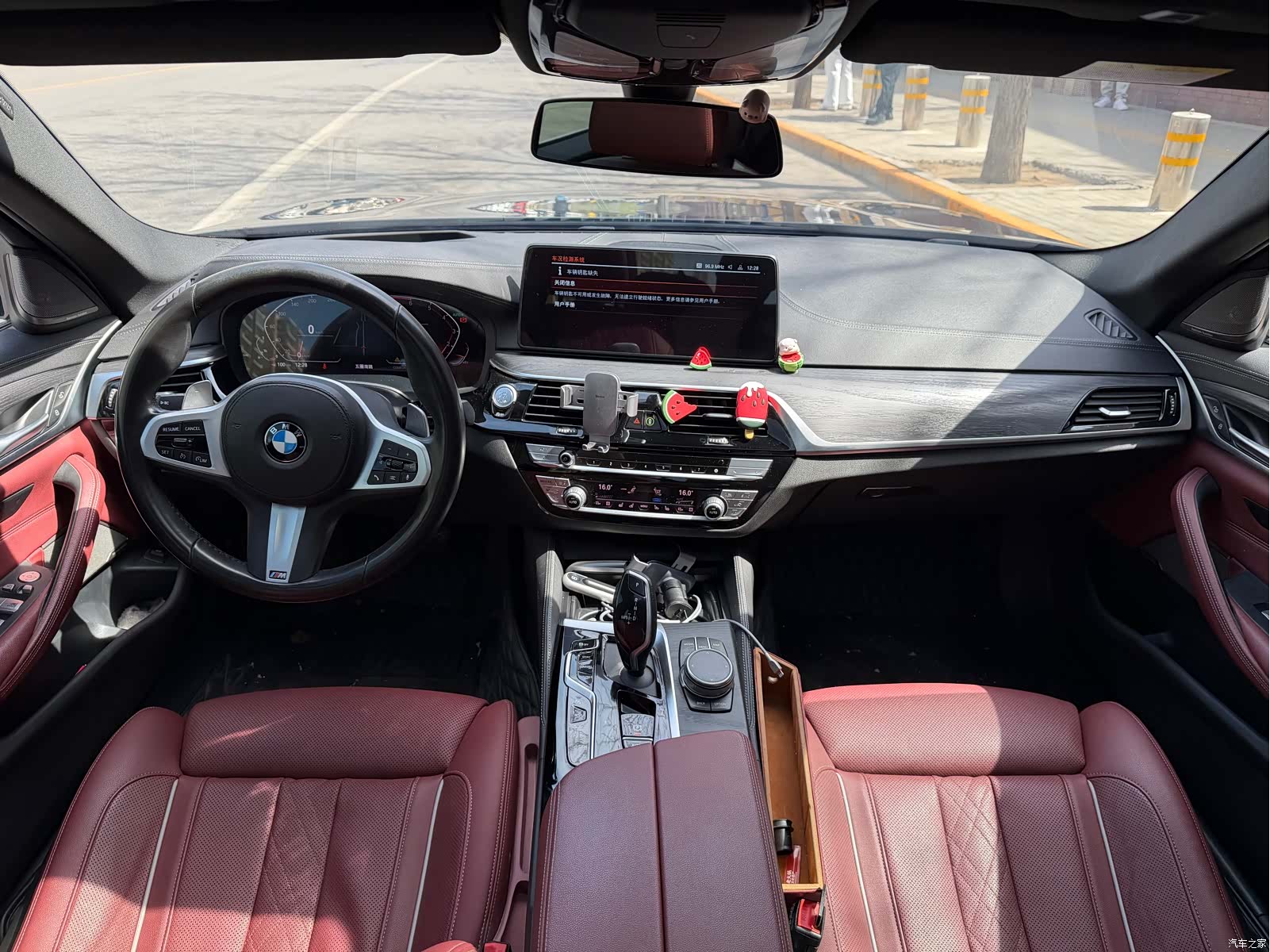 BMW 5 Series, 2020 8