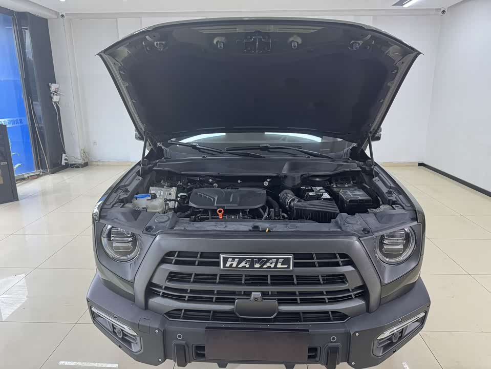 Haval Big dog