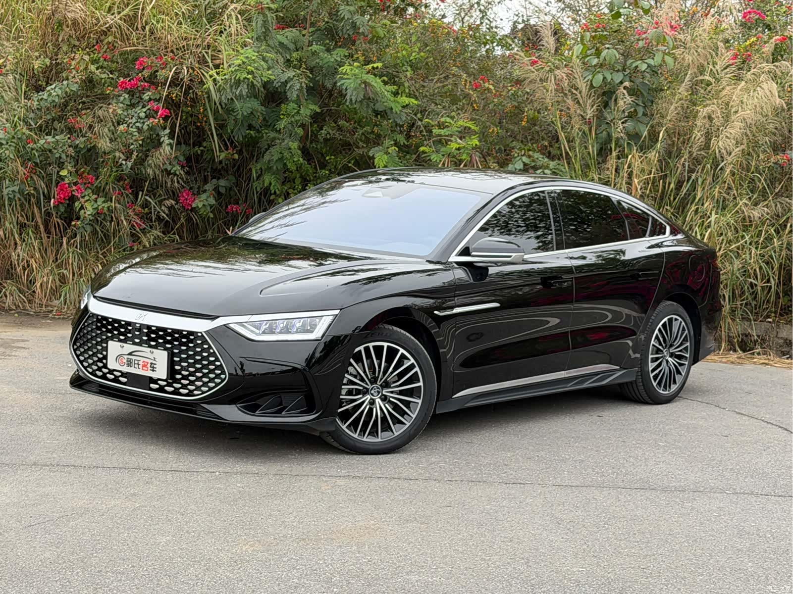 BYD Han, 2024 1