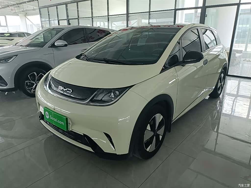 BYD Dolphin, 2024 2