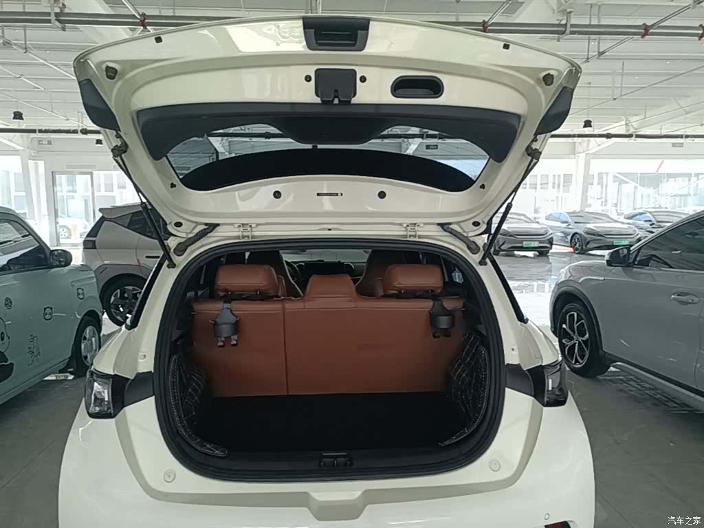 BYD Dolphin, 2024 19