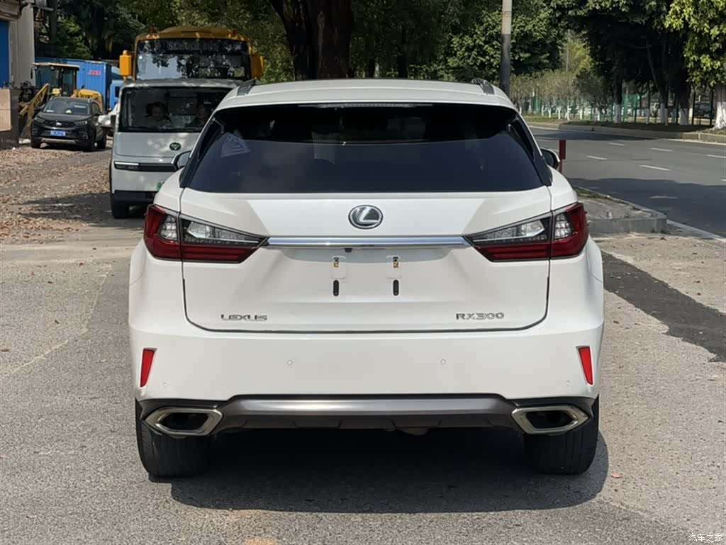 Lexus RX, 2017 11