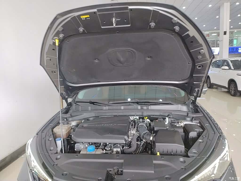 Changan Eado, 2023 20