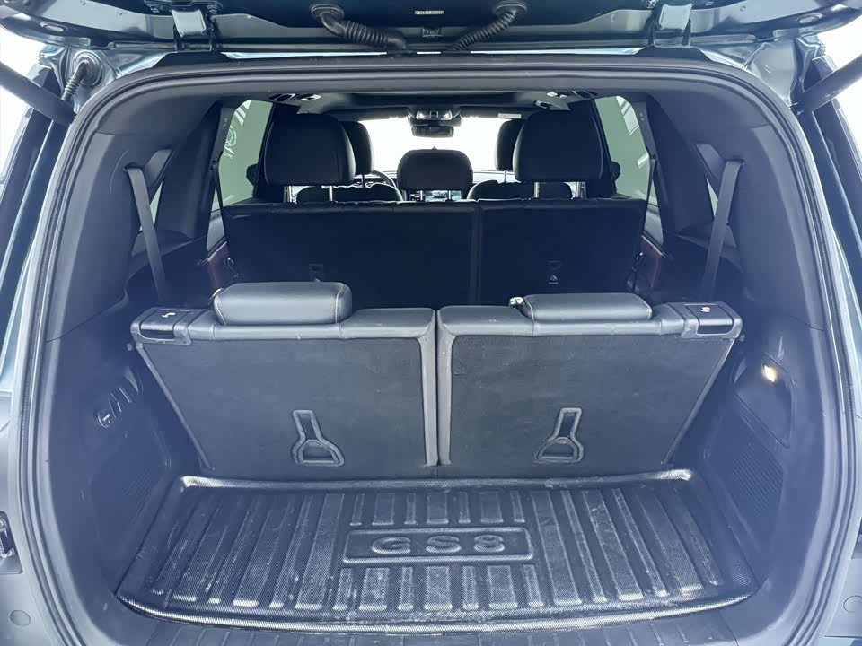 Trumpchi Trumpchi GS8